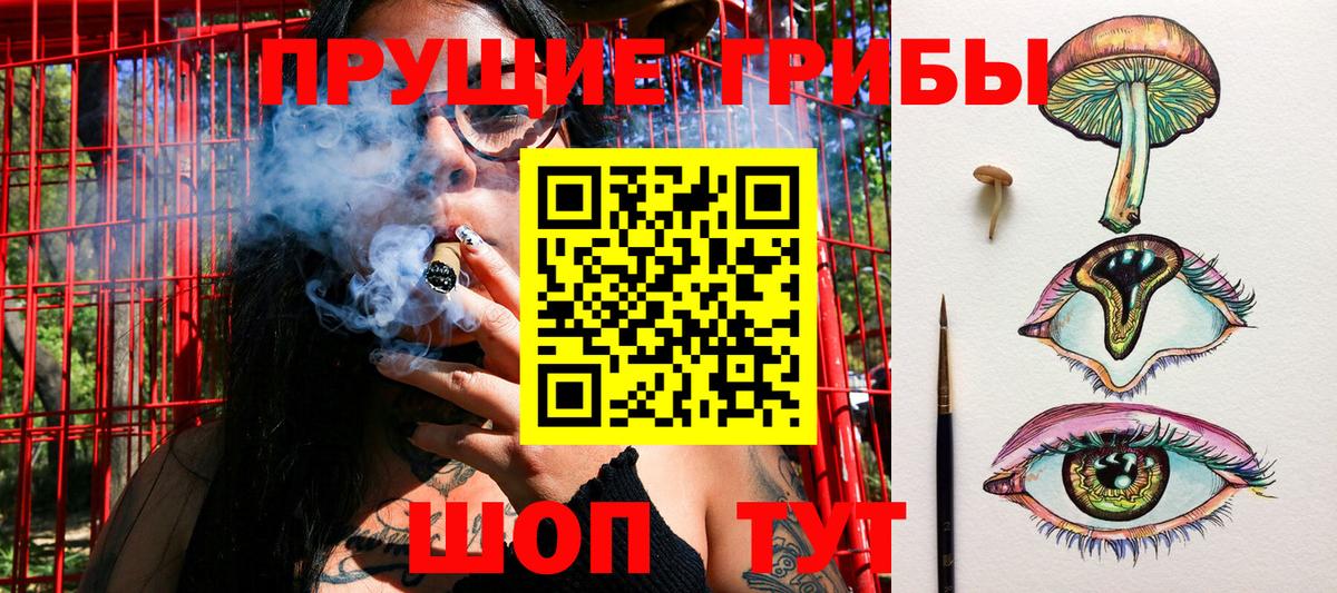 Новоалтайск  Псилоцибиновые грибы прущие грибы  Вход с VPN  Галлюциногенные грибы Magic Shrooms 